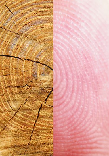 Touch the brand, feel the product and understand what your customers want. Creative Quill Studios.