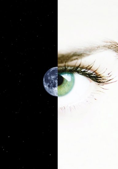 See the brand, see the potential. Creative Quill Studios