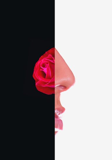 The scent of success within any successful campaign is know how to adapt creatively to your chosen market. Creative Quill Studios.